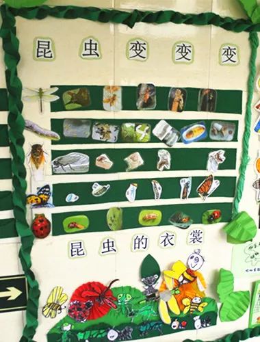 幼儿中班益智区玩具，探索、学习与成长的乐园